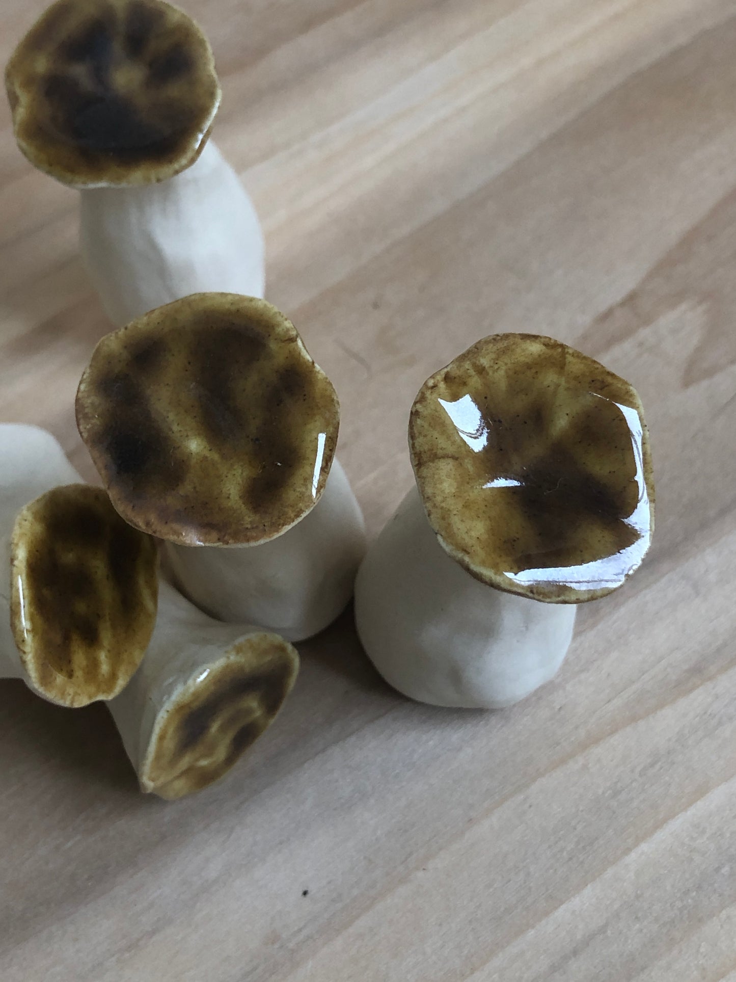 Mini Oyster Mushroom